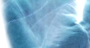  Palmistry , art of Palm reading